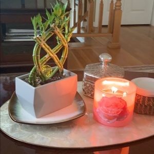 Meet your Posher, Gina